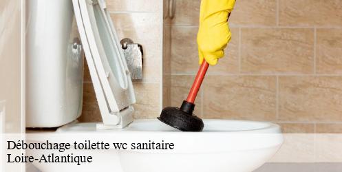 Débouchage toilette wc sanitaire 44 Loire-Atlantique CW Plomberie nantais