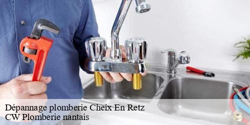 Dépannage plomberie cheix-en-retz-44640 CW Plomberie nantais