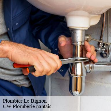 Plombier le-bignon-44140 CW Plomberie nantais