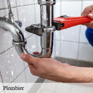 Plombier saint-brevin-les-pins-44250 CW Plomberie nantais
