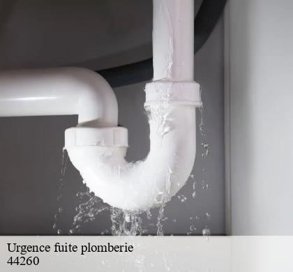 Urgence fuite plomberie la-chapelle-launay-44260 CW Plomberie nantais