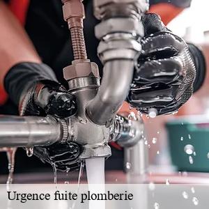 Urgence fuite plomberie la-chapelle-launay-44260 CW Plomberie nantais