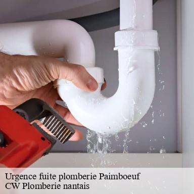 Urgence fuite plomberie paimboeuf-44560 CW Plomberie nantais