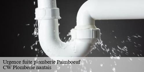 Urgence fuite plomberie paimboeuf-44560 CW Plomberie nantais