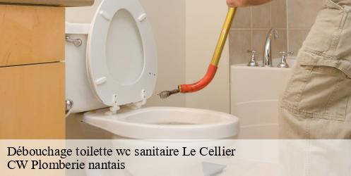 Débouchage toilette wc sanitaire le-cellier-44850 CW Plomberie nantais