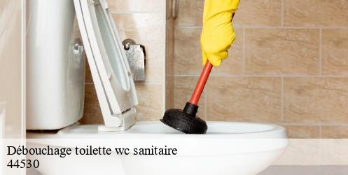 Débouchage toilette wc sanitaire  guenrouet-44530 CW Plomberie nantais