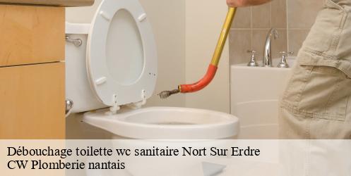Débouchage toilette wc sanitaire nort-sur-erdre-44390 CW Plomberie nantais