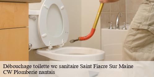 Débouchage toilette wc sanitaire saint-fiacre-sur-maine-44690 CW Plomberie nantais
