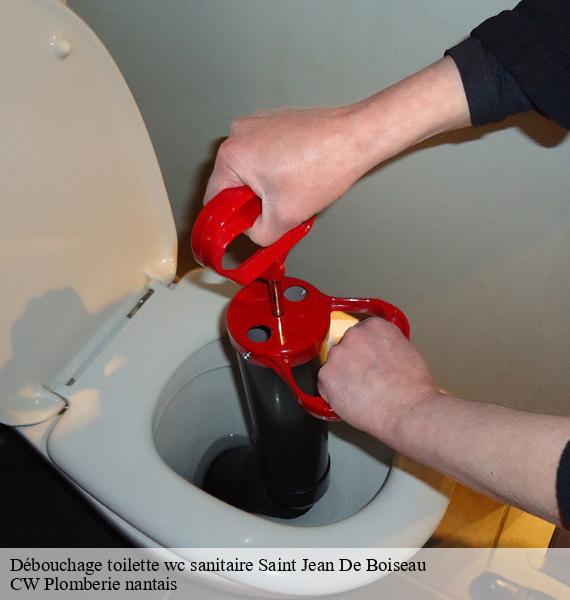Débouchage toilette wc sanitaire saint-jean-de-boiseau-44640 CW Plomberie nantais