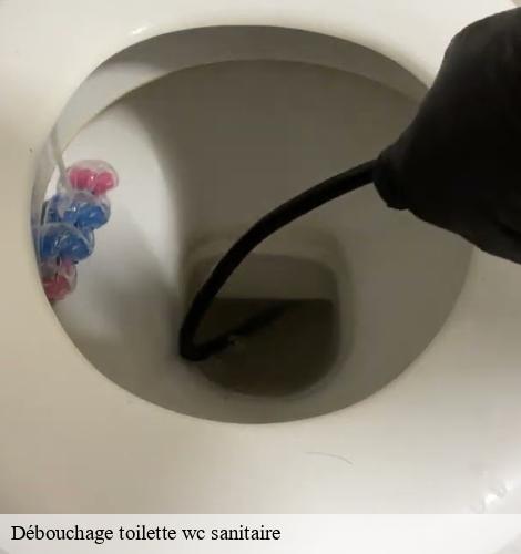 Débouchage toilette wc sanitaire saint-jean-de-boiseau-44640 CW Plomberie nantais