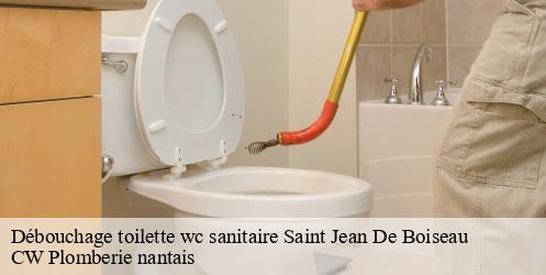 Débouchage toilette wc sanitaire saint-jean-de-boiseau-44640 CW Plomberie nantais