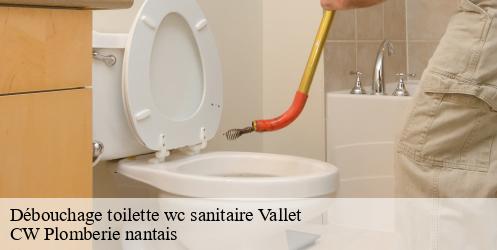 Débouchage toilette wc sanitaire vallet-44330 CW Plomberie nantais