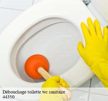 Débouchage toilette wc sanitaire clis-44350 CW Plomberie nantais
