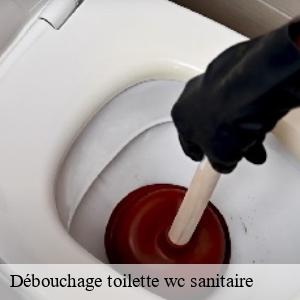 Débouchage toilette wc sanitaire clis-44350 CW Plomberie nantais