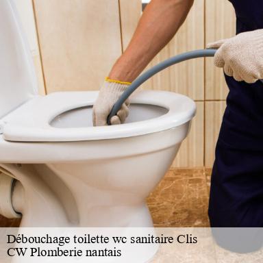 Débouchage toilette wc sanitaire clis-44350 CW Plomberie nantais