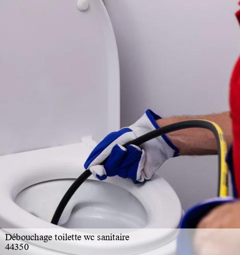 Débouchage toilette wc sanitaire clis-44350 CW Plomberie nantais